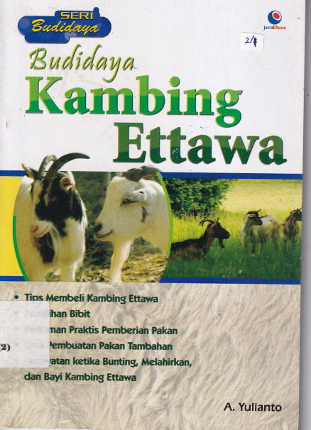 Budidaya Kambing Etawa