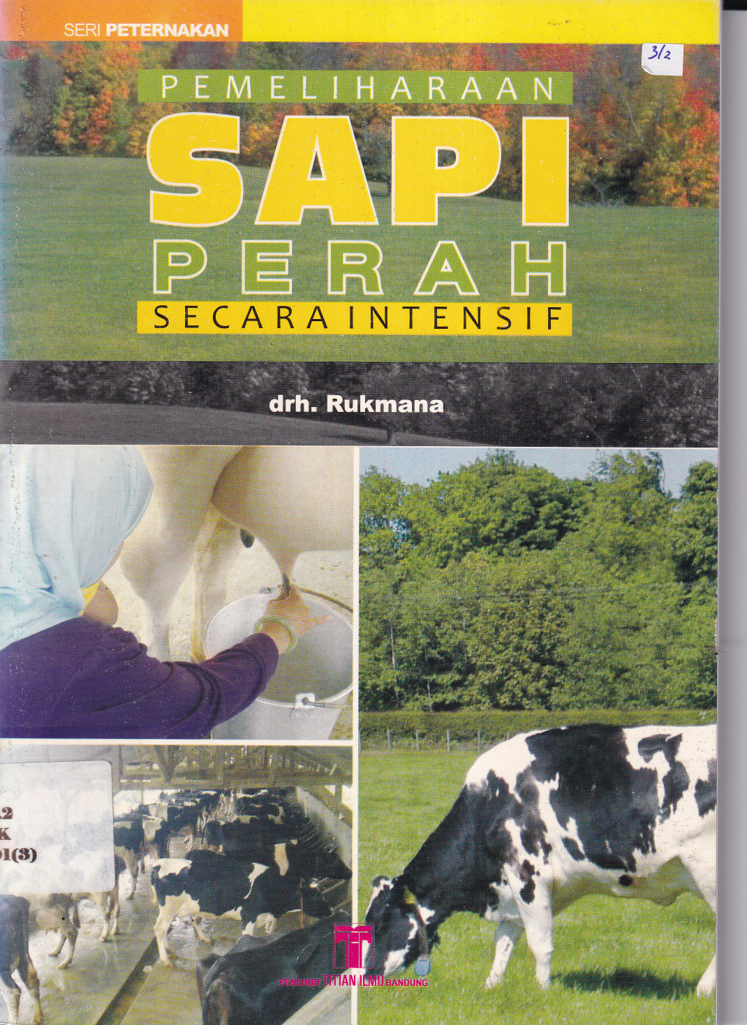 Pemeliharaan Sapi Perah Secara Intensif