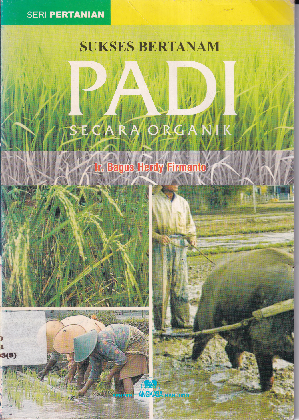 Sukses Bertanam Padi Secara Organik