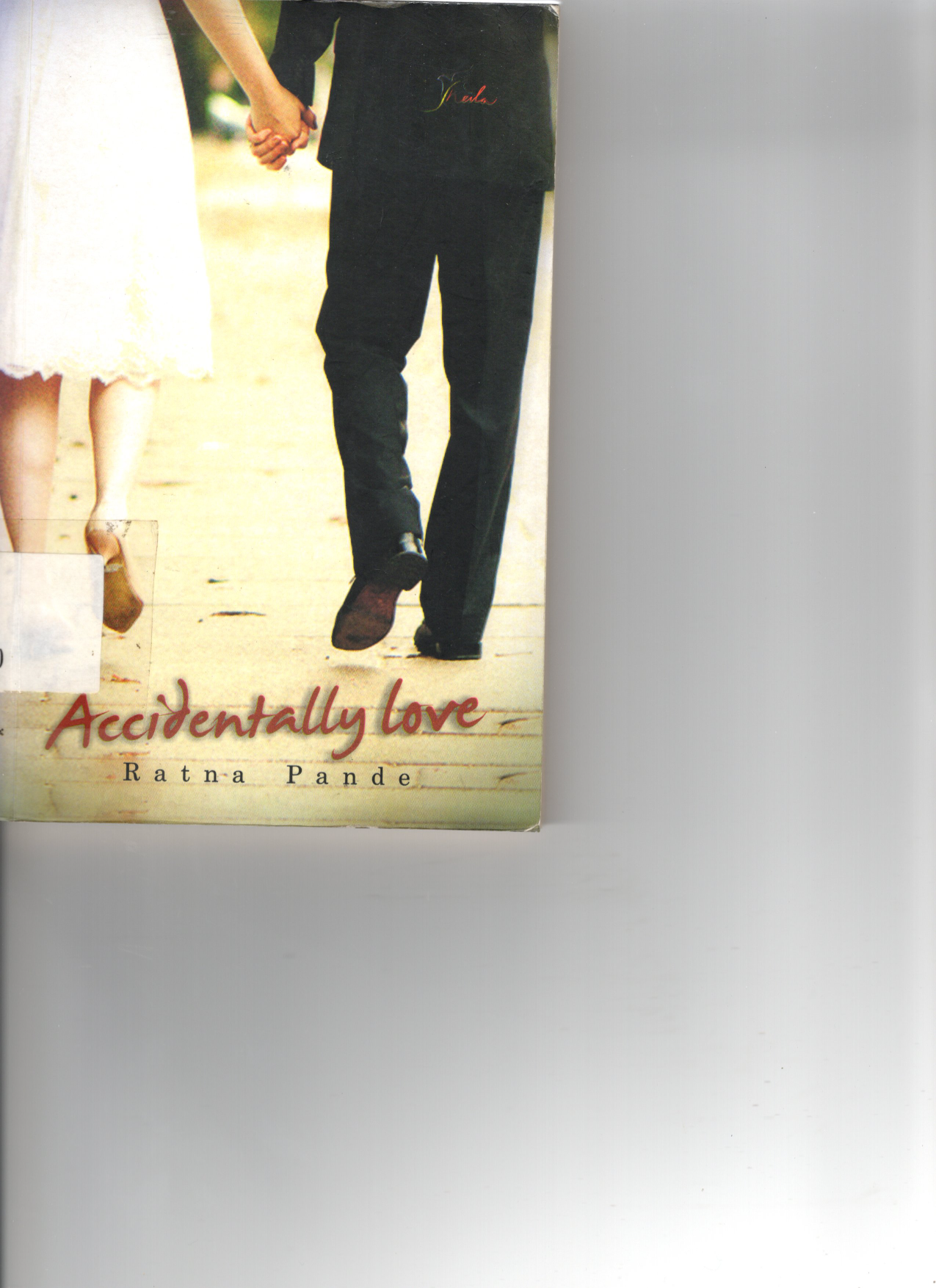 Accidentally Love