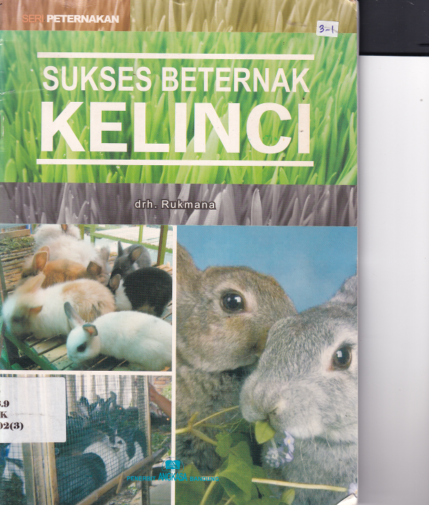 Sukses Berternak Kelinci