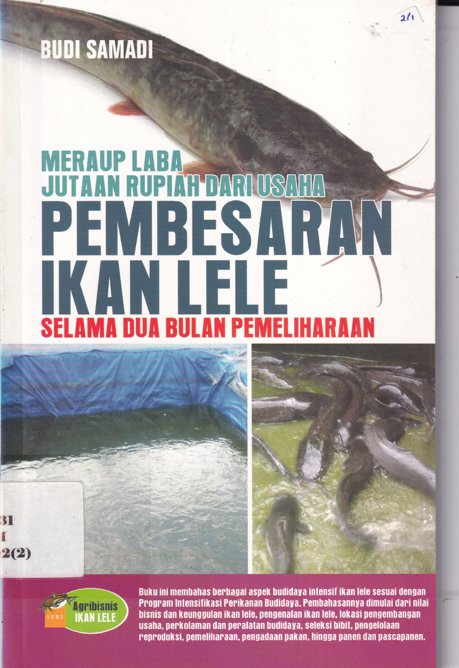 Meraup Laba Jutan Rupiah Dari Usaha Pembesaran Ikan Lele Selama Dua Bulan Pemeliharaan