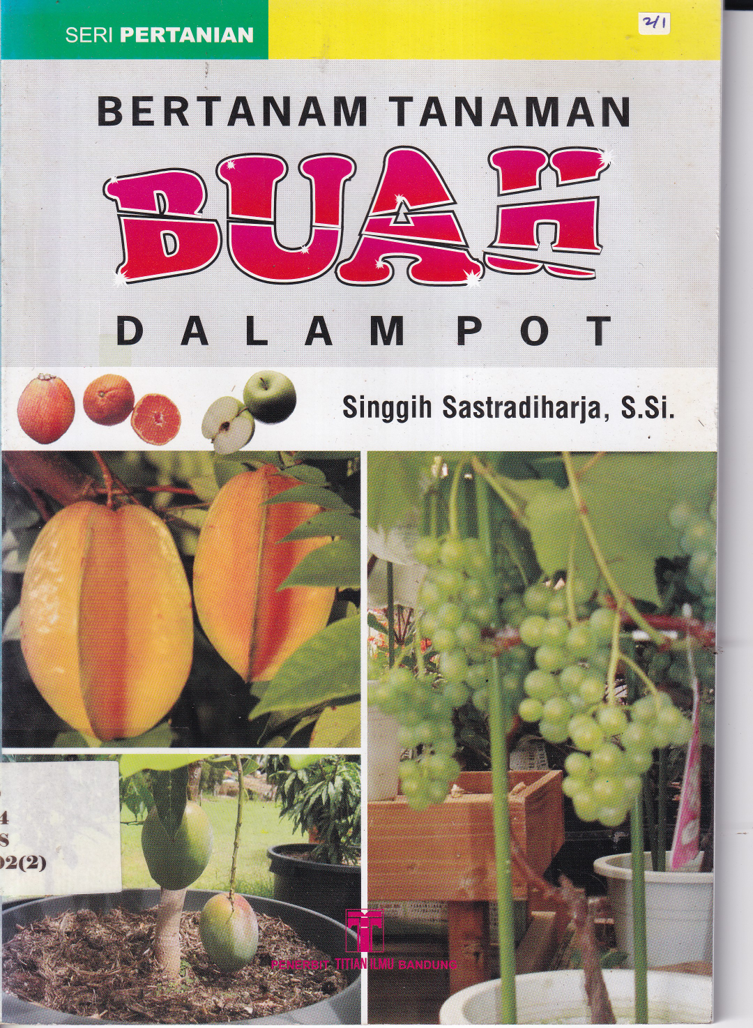 Bertanam Tanaman Buah di dalam Pot