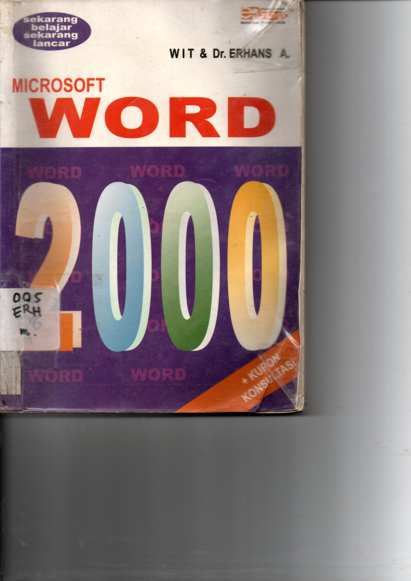 Microsof Word 2000 cet 3