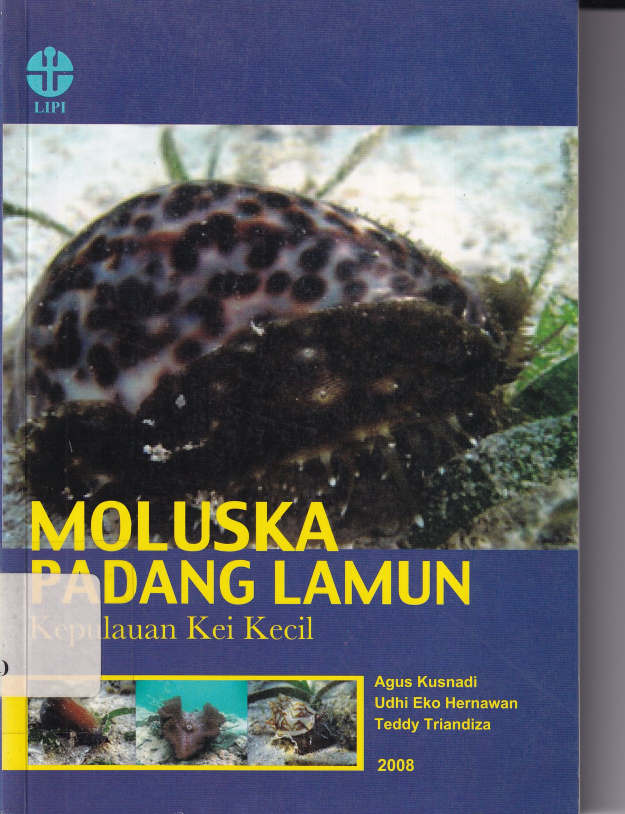 Moluska Padang Lamun Kepulauan Koi Kecil