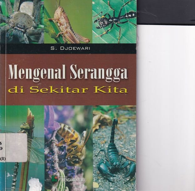 Mengenal Serangga di Sekitar Kita (Sumbangan TBM Gumilang)
