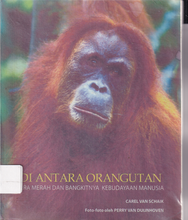 Diantara Orang Utan Kera Merah dan Bangkitnya Kebudayaan Manusia