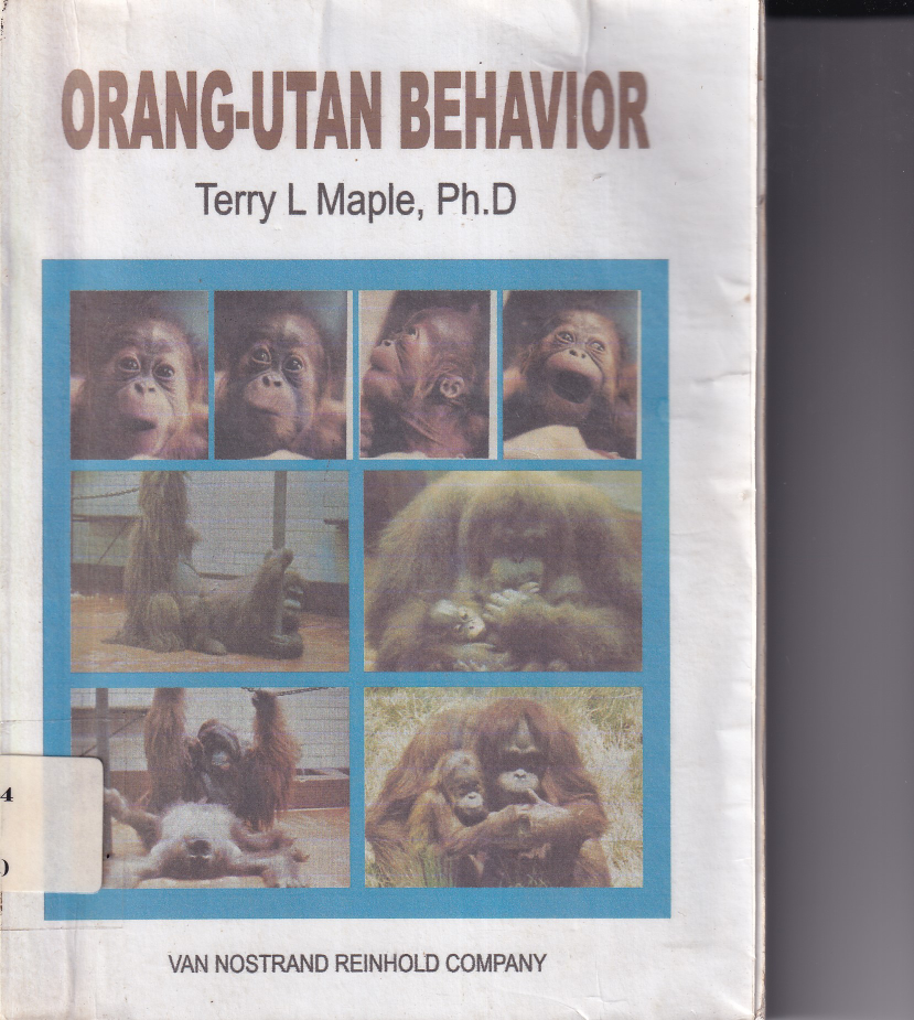 Orang Utan Behavior