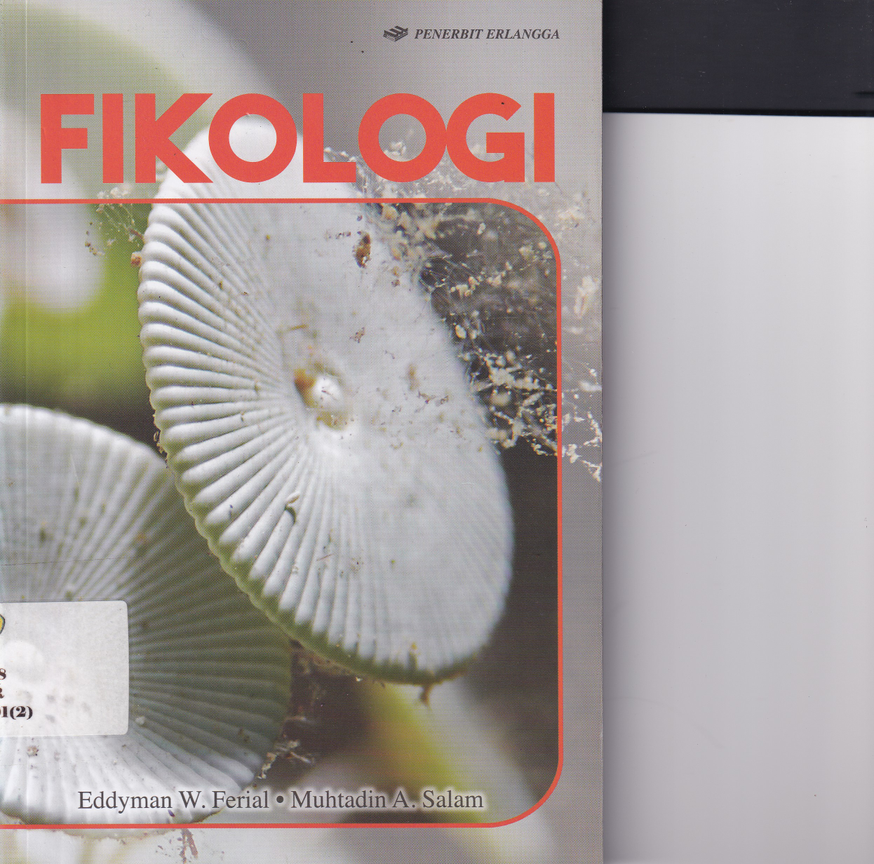 Fikologi