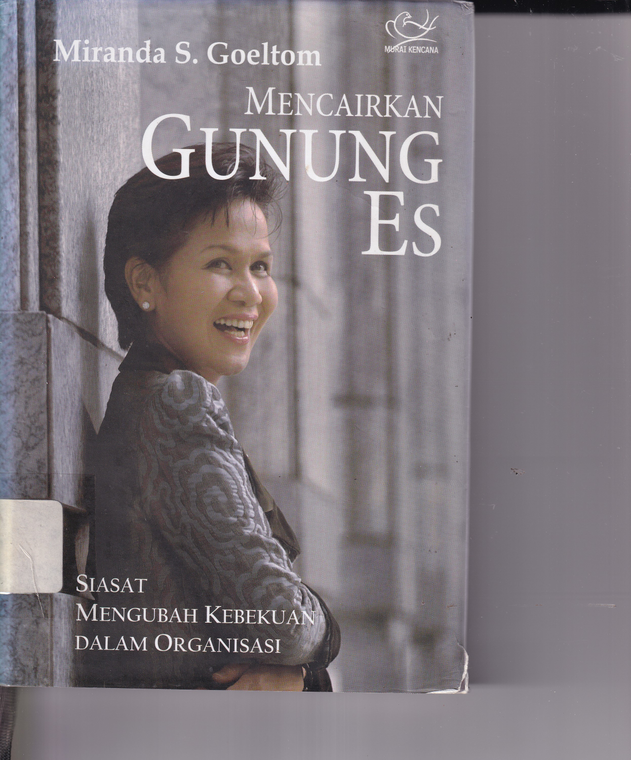 Mencairkan Gunung Es