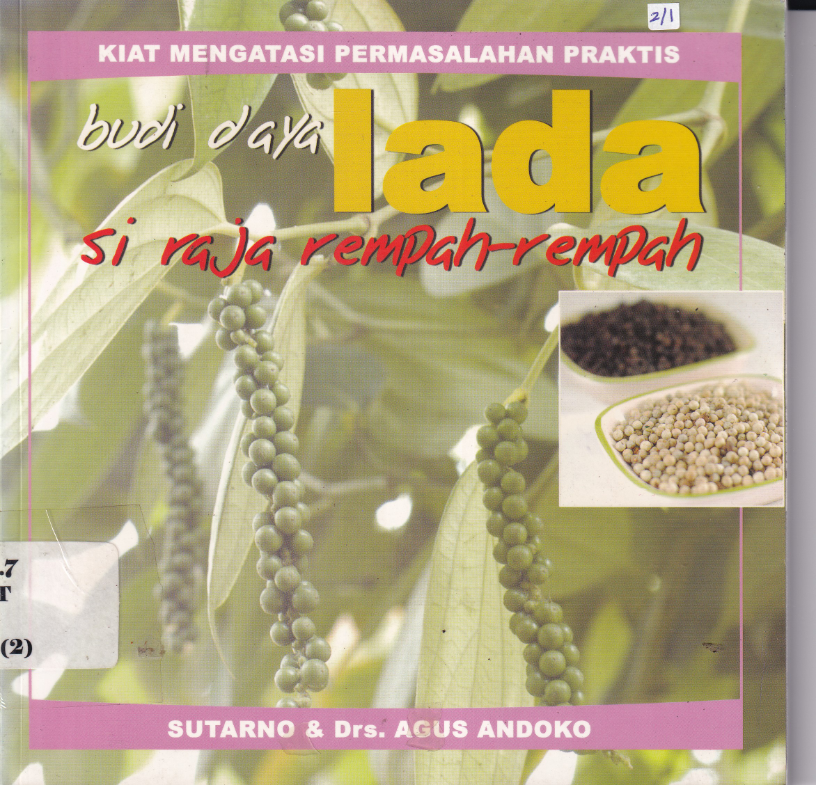 Budidaya Lada Si Raja Rempah-rempah