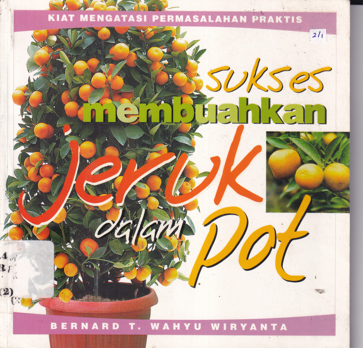 Sukses Membuahkan Jeruk Dalam Pot (Cet. 1)