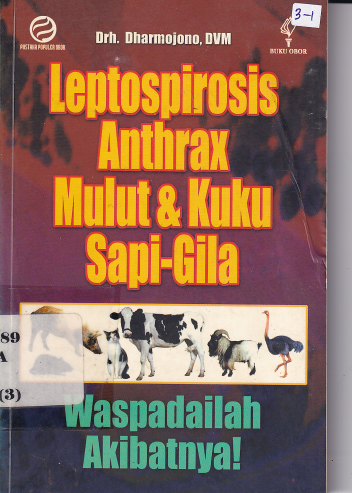 Leptospirosis Antrax Mulut dan Kuku Sapi Gila Waspadailah Akibatnya