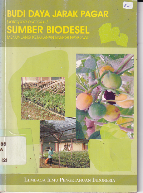 Budidaya Jarak (Jatropha curcas L.) Pagar Sumber Biodesel