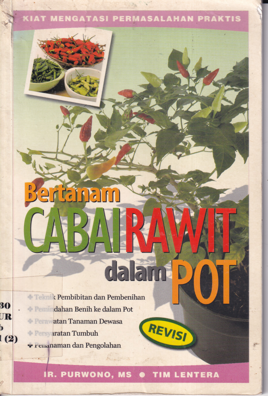 Bertanam Cabai Rawit dalam Pot (Cet. 1)