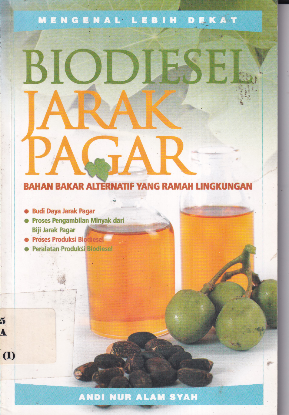 Biodisel Jarak Pagar: Bahan Bakar Alternatif Yang Ramah Lingkungan