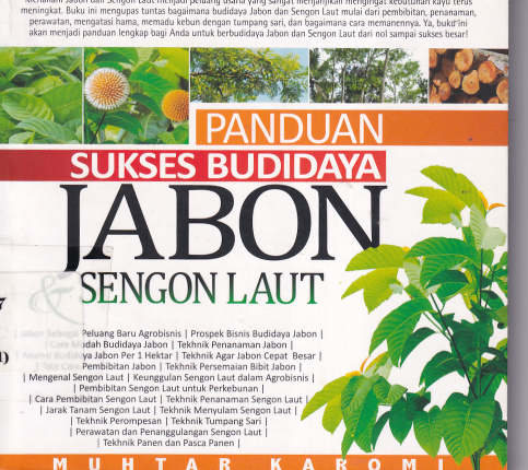 Panduan Sukses Budidaya Jabon &amp; Sengon Laut
