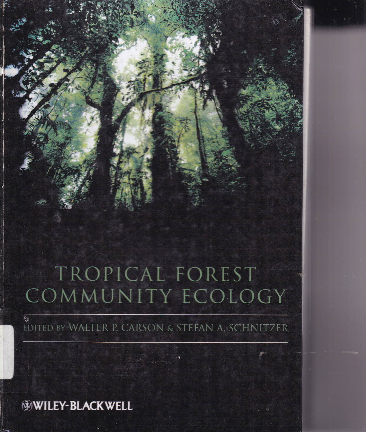 Tropical Forest Community Ecology