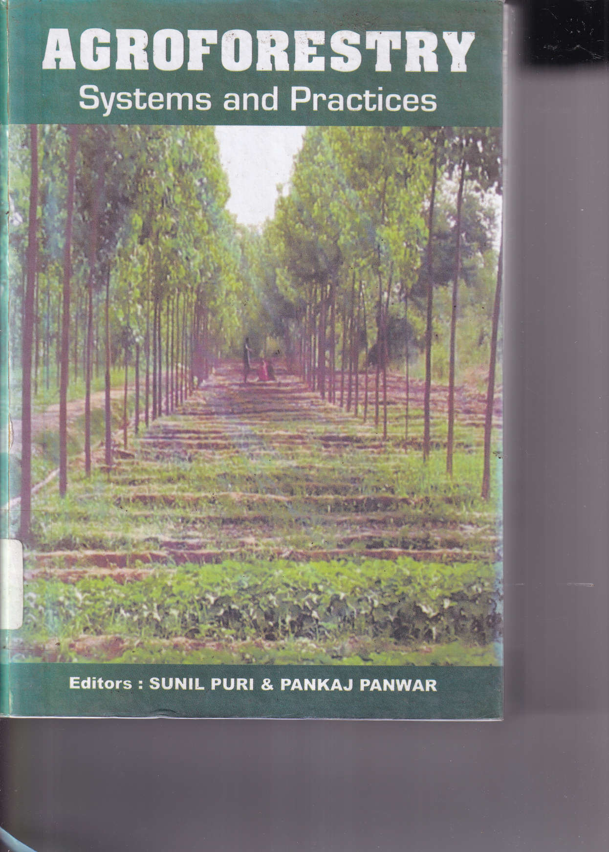 Agroforestry System and Practices