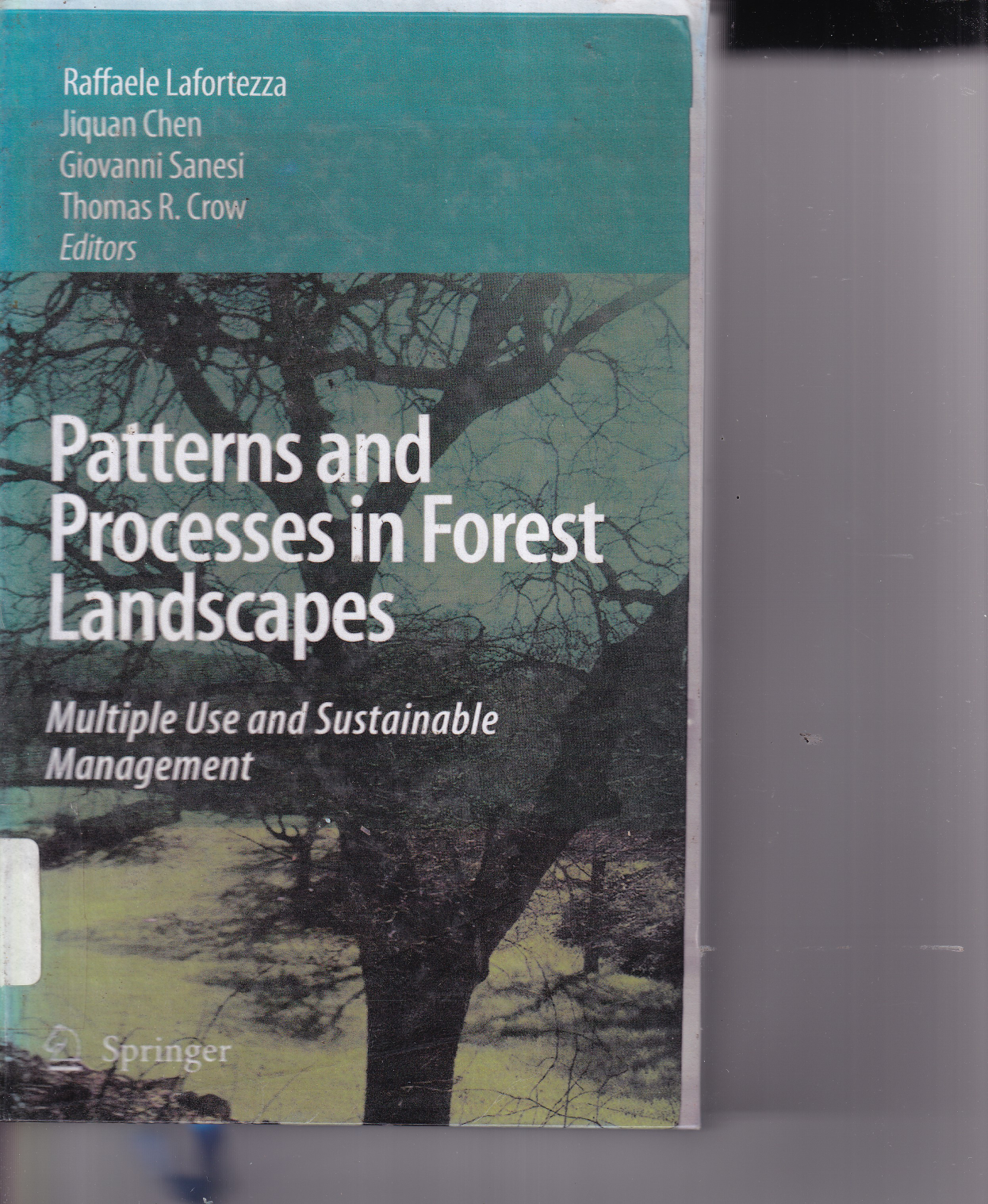 Patterns and Process in Forest Landscapes