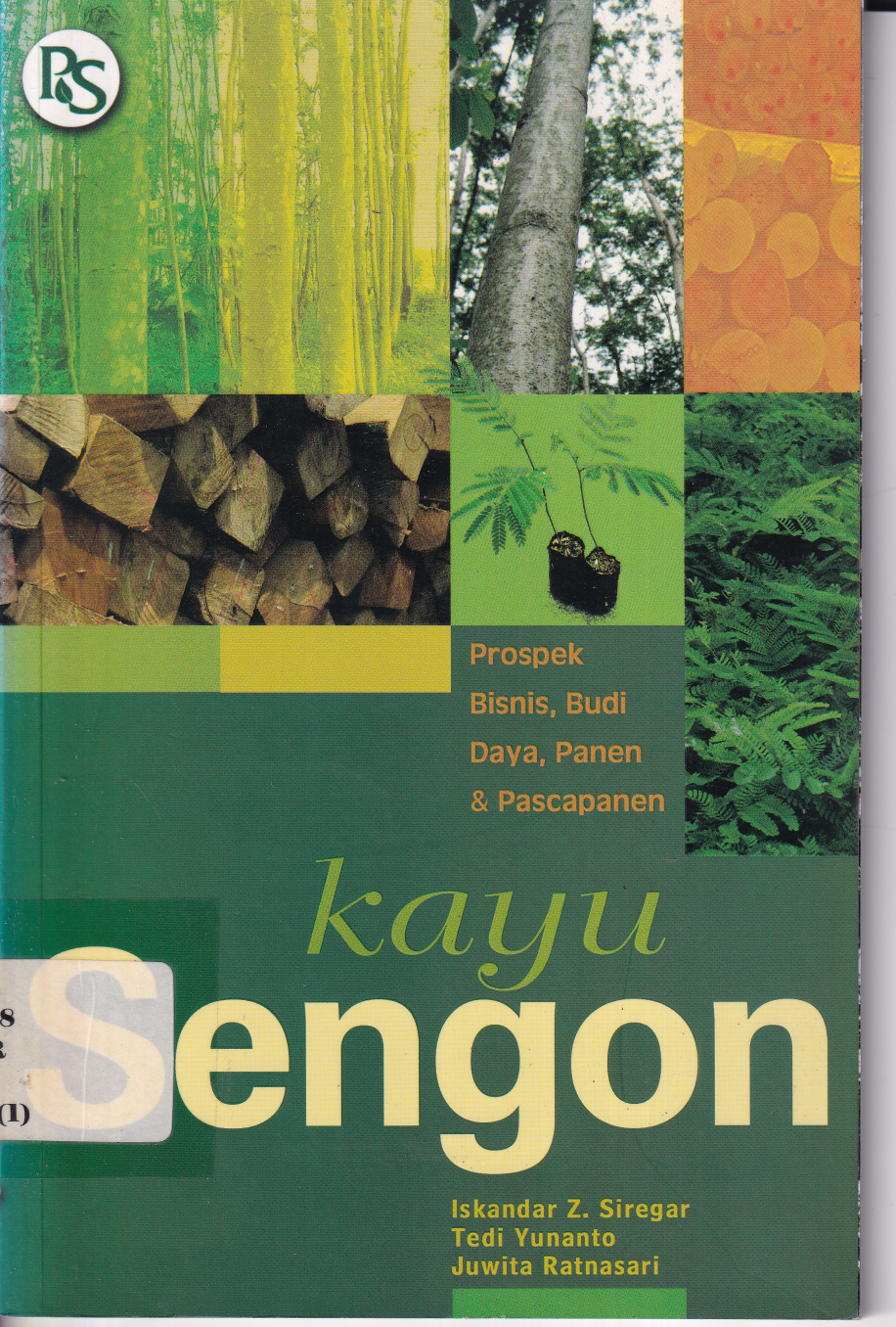 Kayu Sengon