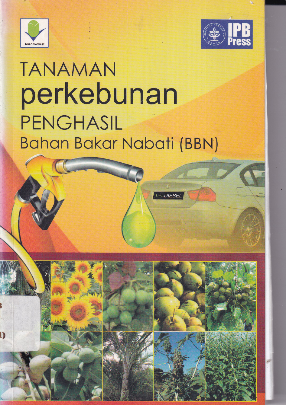 Tanaman Perkebunan Penghasil Bahan Bakar Nabati BBN