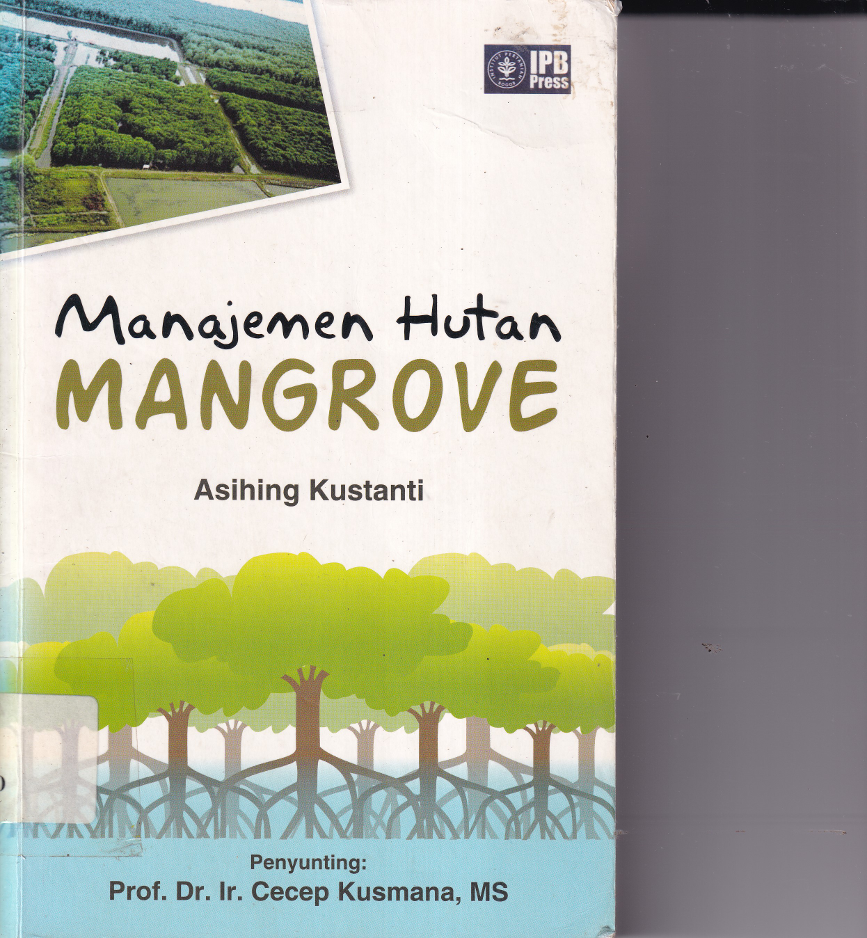 Manajemen Hutan Mangrove
