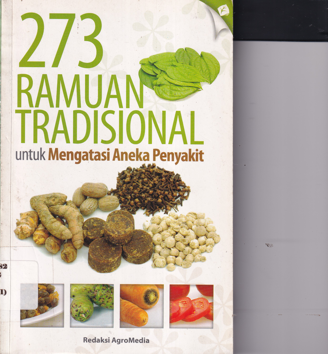 273 Ramuan Tradisional untuk Membatasi Aneka Penyakit