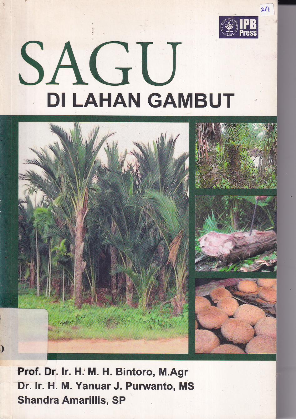 Sagu di lahan Gambut
