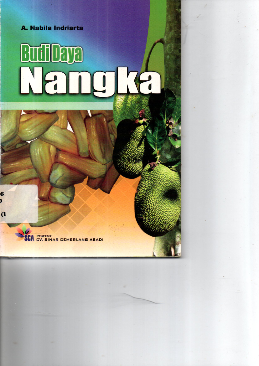 Budi Daya Nangka