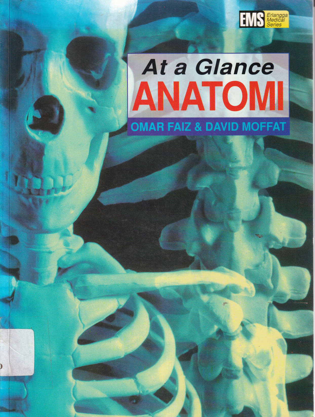 At A Glance Anatomi