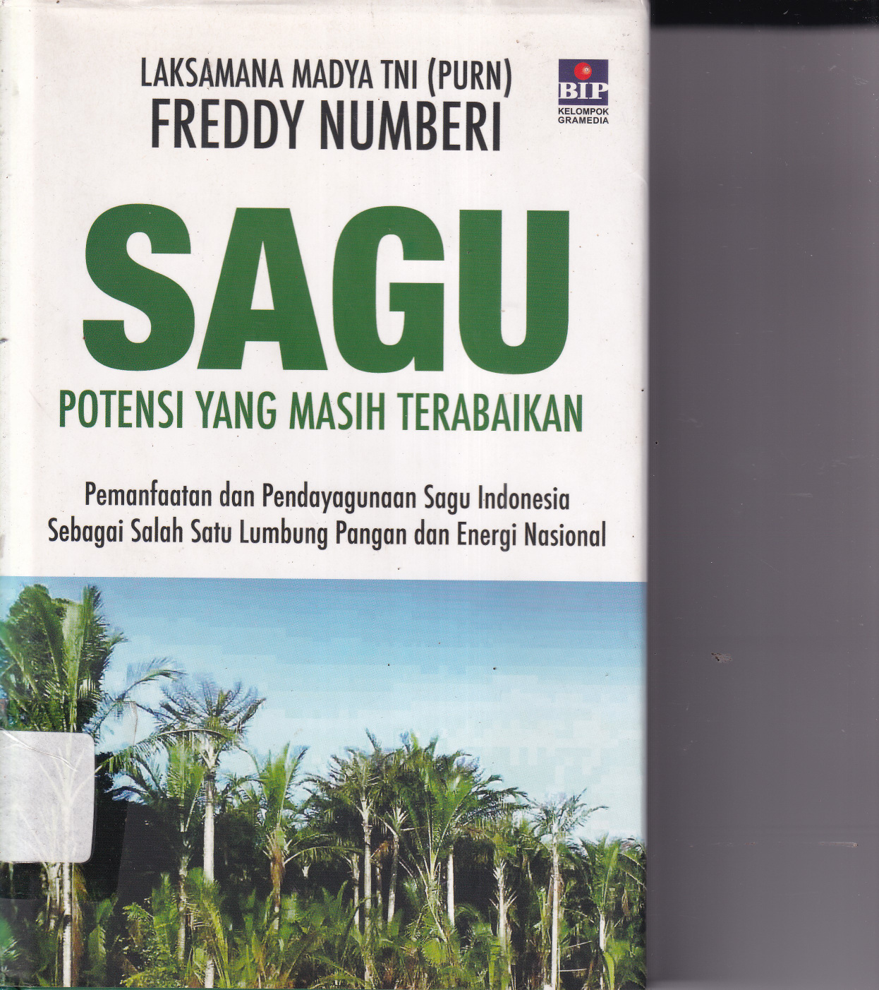Sagu Potensi yang Masih Terabaikan