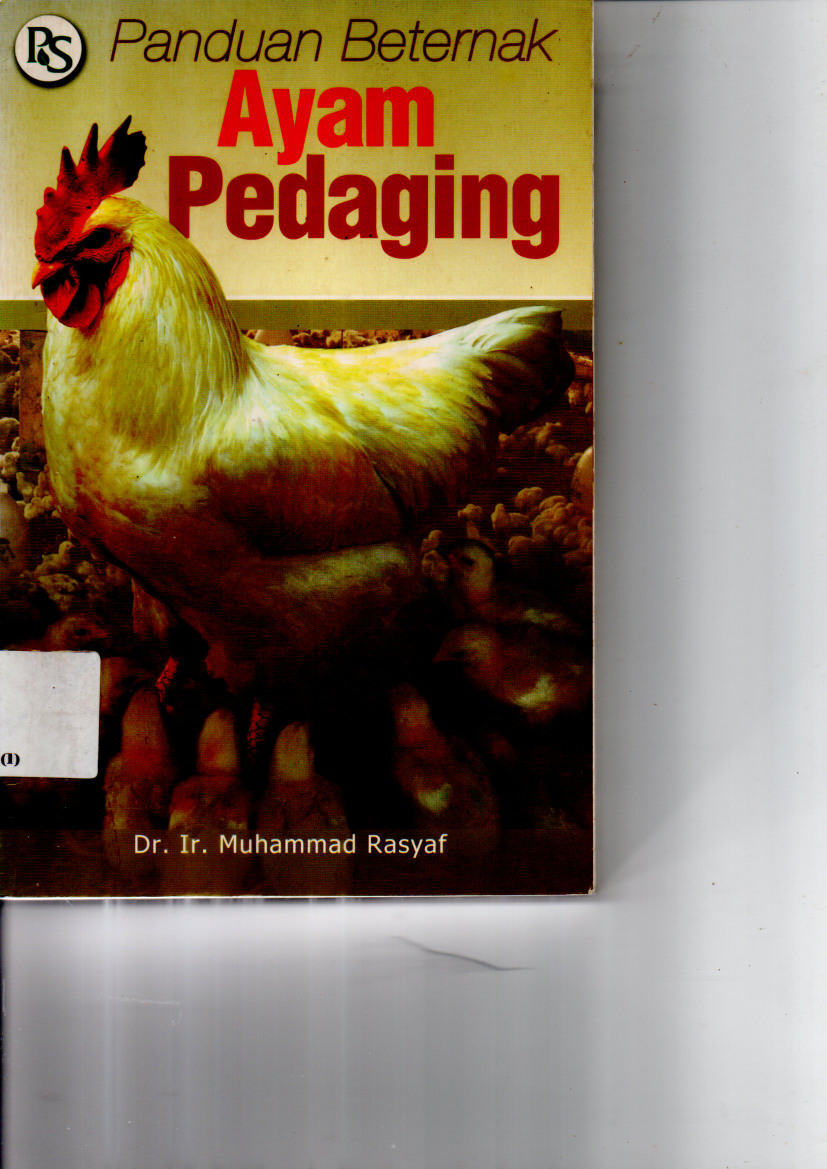 Panduan Beternak Ayam Pedaging