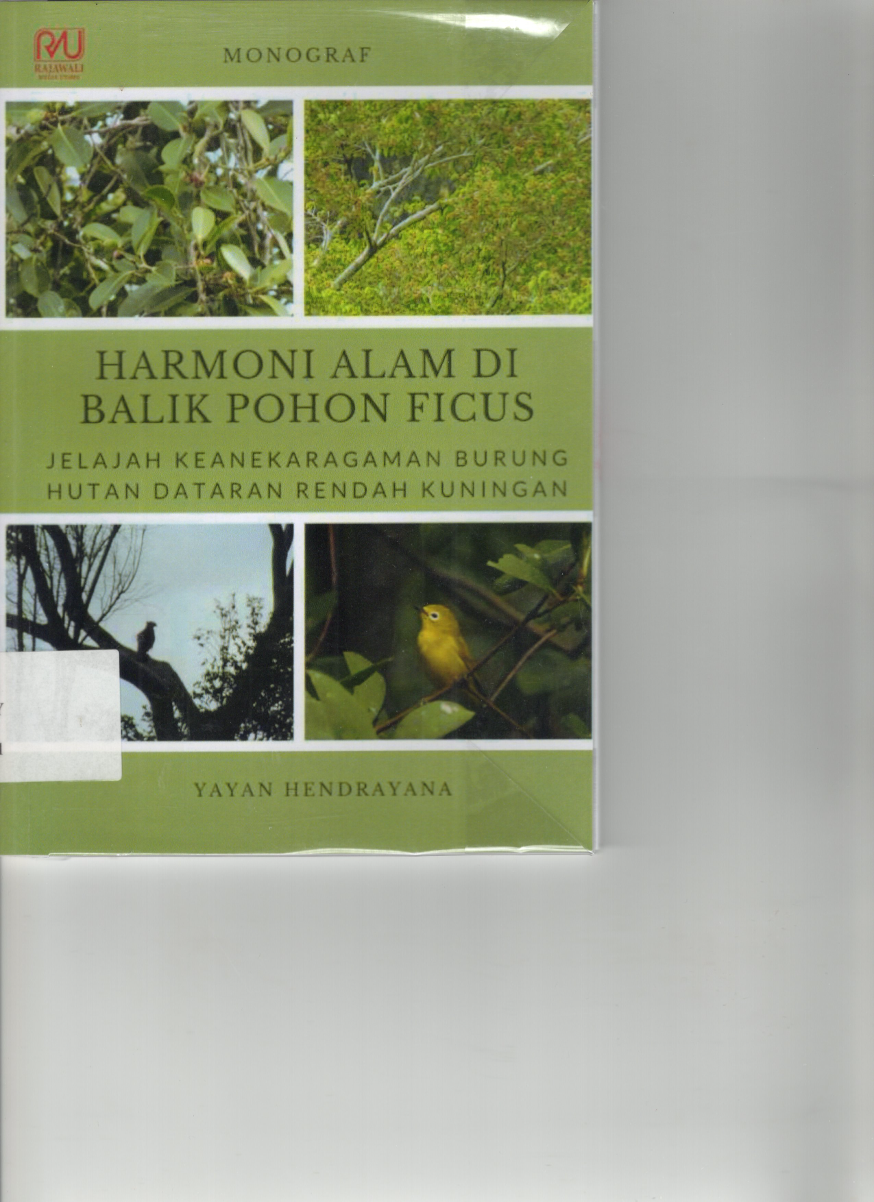 Harmoni Alam di Balik Pohon Ficus: Jelajah Keanekaragaman Burung Hutan Dataran Rendah Kuningan (Cet. 1) (Buku Dosen)