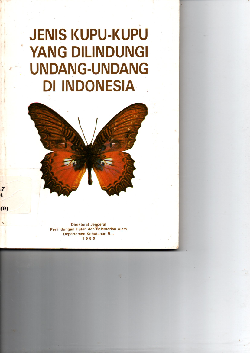 Jenis Kupu-kupu yang Diindungi Undang-Undang di Indonesia