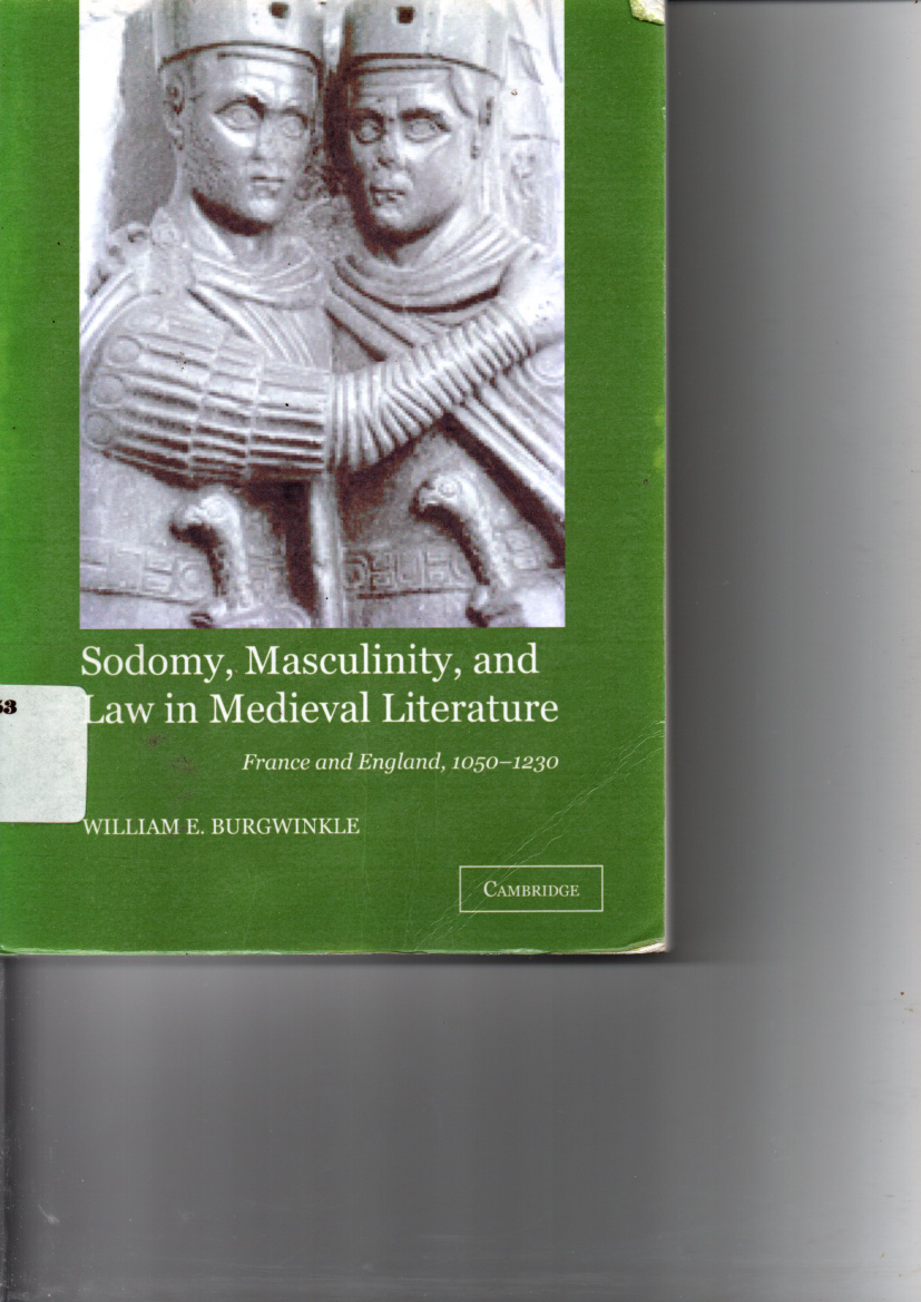 Sodomy, Masculinity, and Law in Mediaval Literature